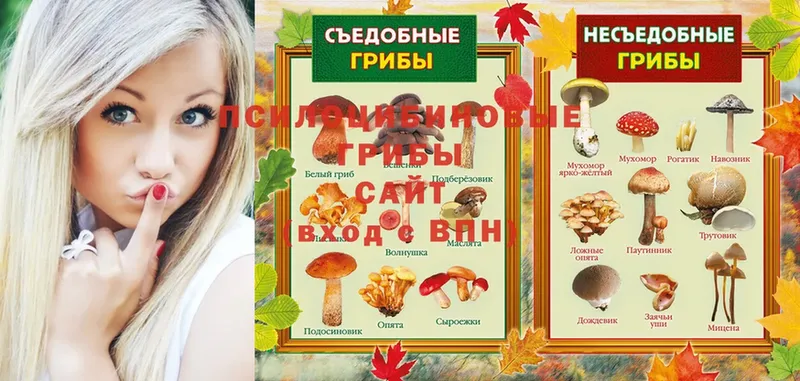 Псилоцибиновые грибы Magic Shrooms  купить наркотик  Разумное 